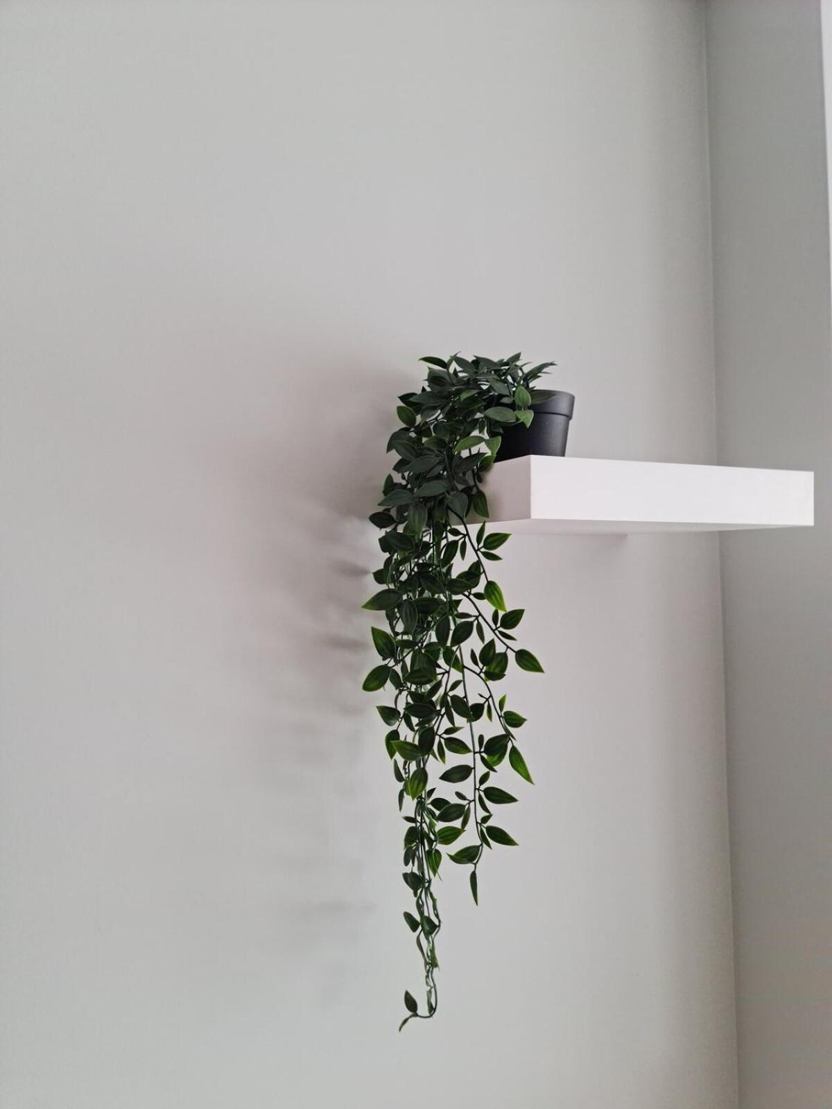 Campanha - A Apartamento Porto